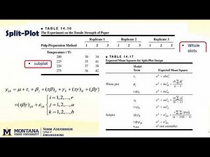 DOE 14.1 split plot intro v1
