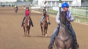 The secret to Kentucky Derby success? Horses' big hearts, powerful lungs and hind legs like springs