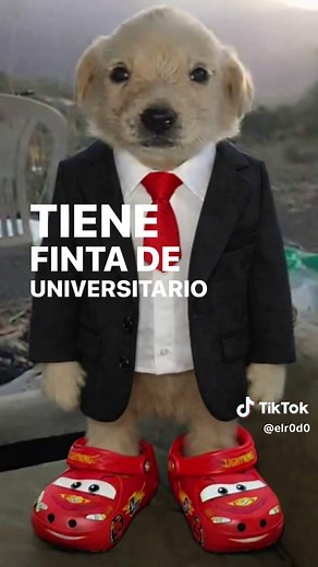 Bien vestido se mira el muchacho: Elegancia y estilo