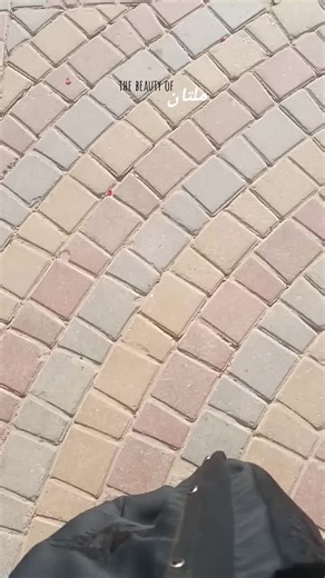 Exploring the Historic Multan Fort: A Timeless Journey