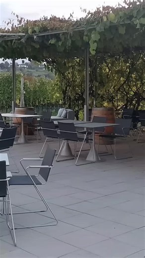 Ausflug ins Loisium in Langenlois mit Tour durch den Weinkeller und anschließender Wei Verkostung 🍷 | Vanessa Kalteis