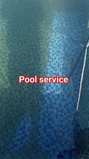 pool service #pool #summingpools #viral#youtubeshorts