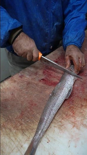 You’ve Been Cutting Fish Wrong – Try This New Method