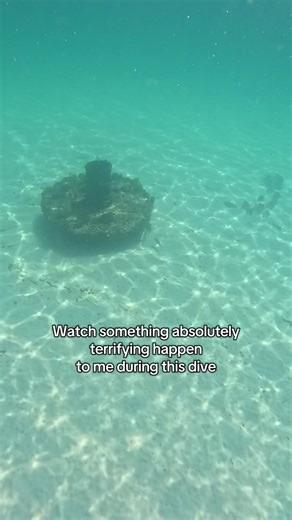 I found this video in my GoPro footage and think it is so important to share! This is the scariest thing that has ever happened to me free diving. When I hit the bottom of the paddleboard my brain couldn’t understand what was happening and I thought I somehow got stuck under a reef structure. I’m so thankful I didn’t knock myself out. My adrenaline was racing after this and all I could say was “so sorry” to the paddle boarder who felt terrible about the incident, which was 100% my fault. Always 