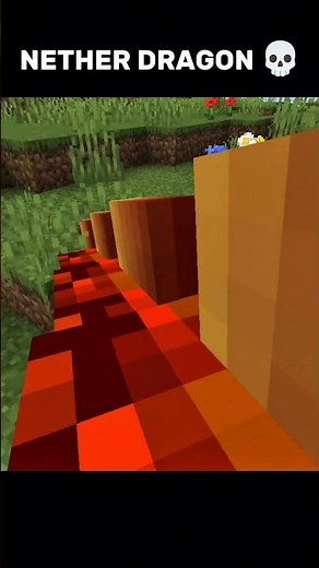 Nether Dragon In Minecraft