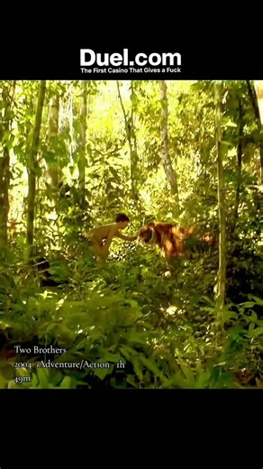 Movie Moments | Two Brothers 2004 ‧ Adventure/Action ‧ 1h 49m Two Brothers (2004) is a touching adventure film directed by Jean-Jacques Annaud, set in... | Instagram