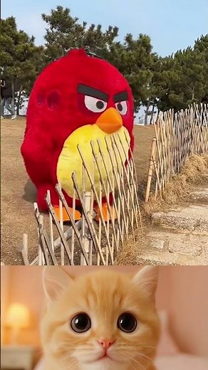 Hilarious Character Mascot Cosplay Fails: Funniest Moments You Can't Miss!