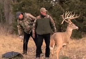Video: Pennsylvania Officials Use Robot Deer to Catch Poachers | OutdoorHub