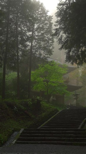 霧に包まれた最乗寺の神秘的な三門
