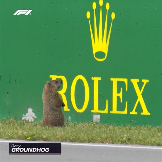 🚨 GARY THE GROUNDHOG SPOTTED 🚨 | F1