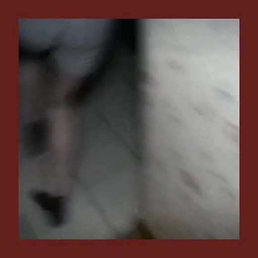 #luxarmy #lifeofluxury #fyp #edit #luxurypranks #viral #foryou #fürdich #chester #parker 👻🖤 New Fanpage @parkerandchester 👀🙈