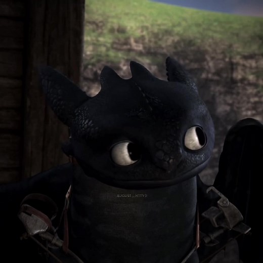 Understanding the Relationships in How to Train Your Dragon