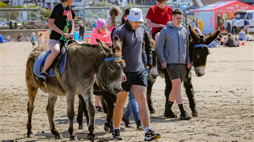 Campaigners in bid to ban beach donkey rides at popular seaside destination