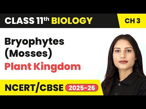 Bryophytes (Mosses) - Plant Kingdom | Class 11 Biology Chapter 3 | CBSE 2025-26