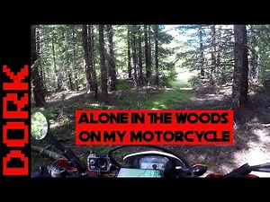 My Solo Motorcycle Off Road Adventure Continues: Overgrown Logging Roads and Scenic Forest Vistas