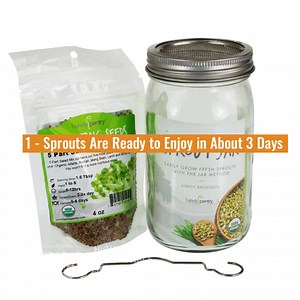 3K reactions · 444 shares | Sprout Grower HQ - Home & Pro Growers ✔ Seeds, Sprouters & Starter Kits ✔ Huge Selection - FREE Shipping ✔ Small Quantity to Bulk Wholesale ✔ Delicious - Healthy - Fun - Easy ✔ Sprouts for Pennies Per Day | True Leaf Market | Facebook