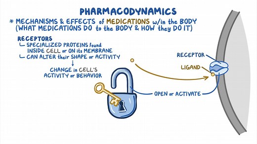 Video: Pharmacodynamics: Agonist, partial agonist and antagonist - Video Explanation! | Osmosis | Osmosis