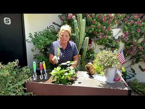 Ultimate Innovations Garden Buddy Multi-Function Garden Tool on QVC