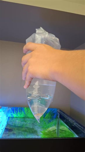 Os vídeos de casa do acara (@live_peixes) com som original - casa do acara