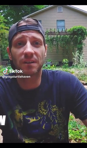 Discover How Fast Turtles Really Are