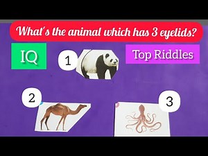 5 Brain Teasing Riddles Only A Sharp Mind Can Pass