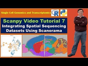 Scanpy Video Tutorial 7: Integrating Spatial Sequencing Datasets Using Scanorama