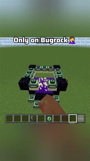 Minecraft Bug
