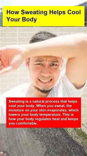 How Sweating Helps Cool Your Body - OTOMOTIPS