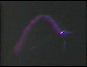 Kansas - Dust in the Wind (Live 1980)