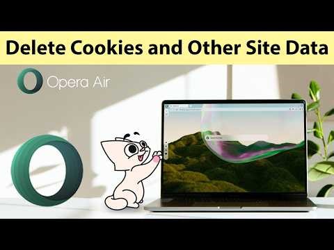 How to Delete Cookies and other site data Opera Air?