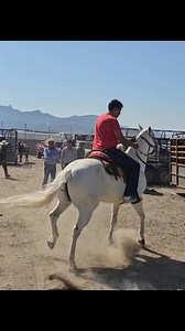 781K views · 15K reactions | Caballos cuarto de milla de rienda charra me dijo que lo vendió en 20 mil pesos ¿ustedes le creen? #caballos #caballoscuartodemilla #caballosfinso, parte 2 | Hunter Vlogs | Facebook