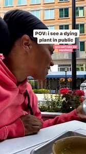 136K views · 98 reactions | And the Good Citizen Award goes to…  @porcelain.plants.llc | Miracle-Gro | Facebook