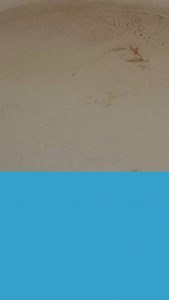 🧼 The Impossible Cleaning Challenge ✨ They said it couldn’t be saved… but we love a good challenge! 💪 At Clean Solution, even the impossible shines. 🌟 Drop a 🧽 if you love a good transformation! #CleanSolution #CleaningChallenge #BeforeAndAfter #DeepCleaning #SatisfyingClean #CleanTok #Transformation#professionalcleaning #beforeandafter #deepcleaning #longbranchnj | Clean Solution
