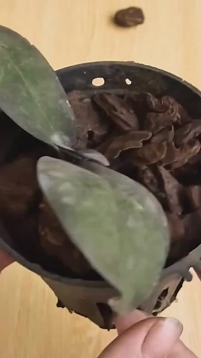 18K views · 361 reactions | Entenda os processos e salve qualquer...