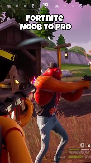 Fortnite Noob to Pro