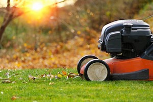 Best Time To Mow Your Lawn For Better Looking Grass