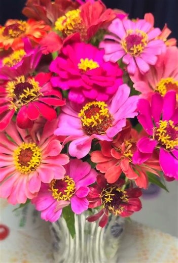 #Still life# Adelaide# F, Wunderlich# #Beethoven# #Germanlied#