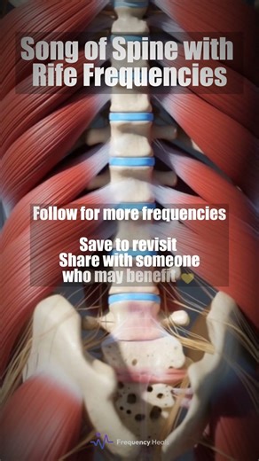 Song of Spine with Rife Frequencies #frequencyhealing #soundtherapy