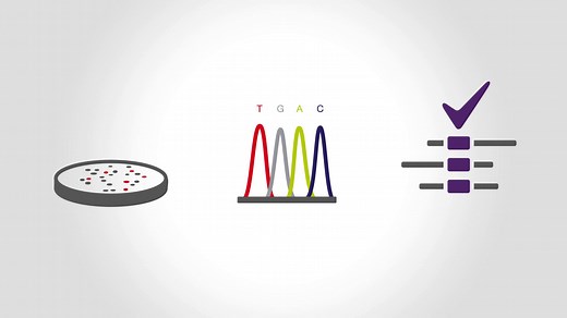 What is high-fidelity PCR?離溺匿 A. PCR technique for difficult...
