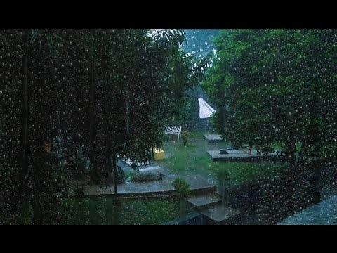 Rainy Afternoon in Java Countryside – Comforting Ambience for Sleep & Relaxation