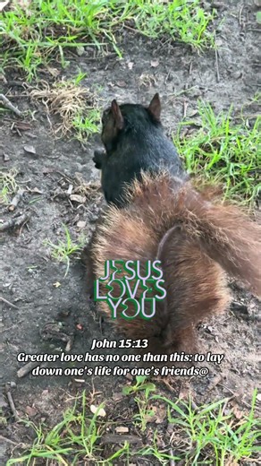John 15:13 Greater love has no one than this: to lay down one’s life for one’s friends