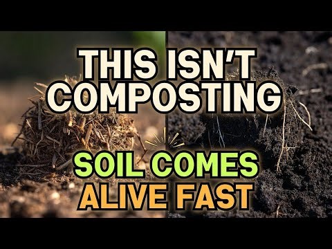 Japanese Composting Secret EXPOSED – This Method DESTROYS Regular Compost