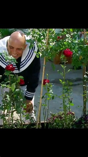 #tlnovelas ##corazonindomable