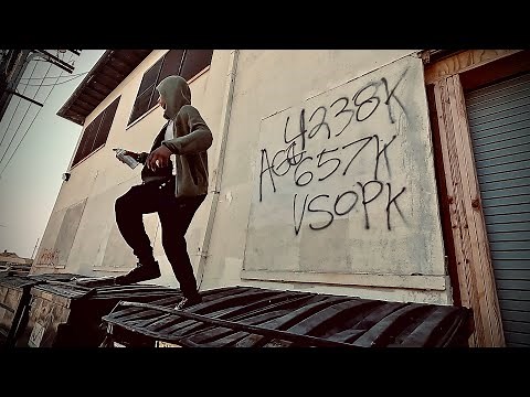 Welcome to the “Avalon Gangsta Crips” (Official Documentary)