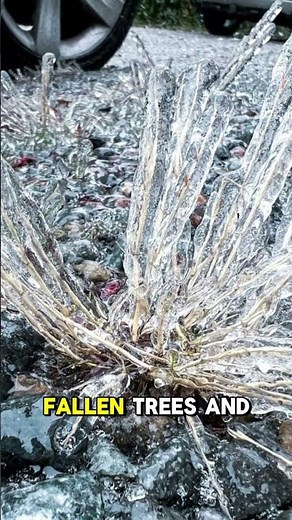 Ice Storms: Silent, Slick, and Destructive ❄️⚡#icestorms #winterhazards