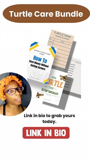 If your turtle tank is cloudy, smelly, or stressing you out... THIS...