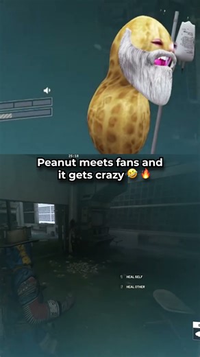 Peanut vs FANS… This Got Out of Hand FAST 😂