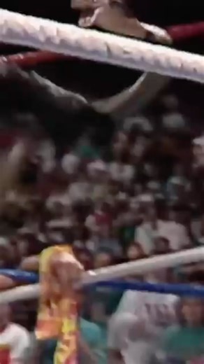 Jake Roberts Slaps King Cobra Before It Bites Macho Man Story #wwe #machomanrandysavage #jakeroberts #jakethesnakeroberts | Wrestling News