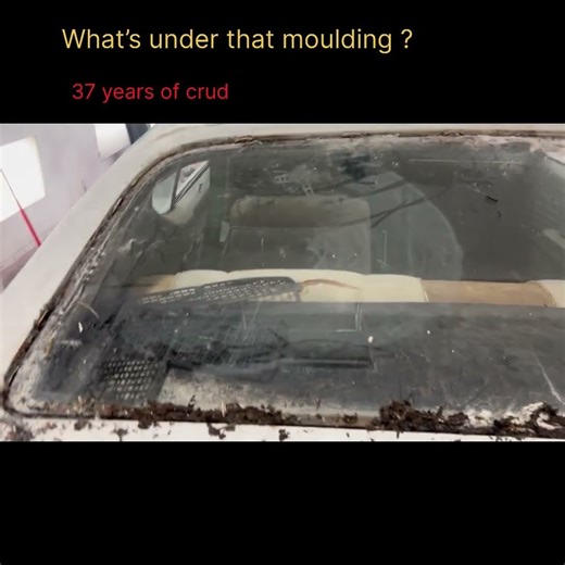 “Rescuing a 1969 SS Chevelle That Sat for 37 Years” Passion Motorworks Performance WHATS UNDER THERE