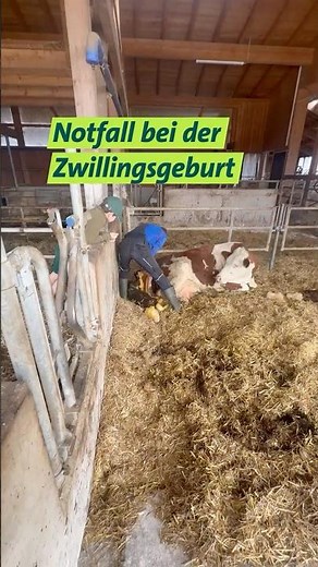 Dramatische Geburt Teil 2 #shorts #birth #zwillinge
